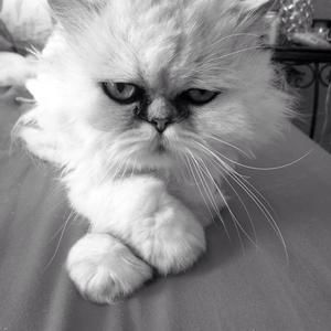 Meet your Posher, Raquel